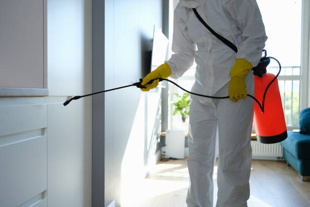 Best Mold Remediation  in Galveston, TX