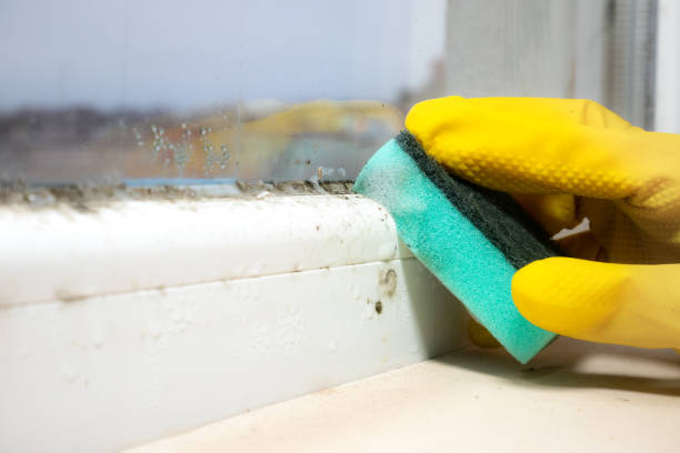 Best Mold Testing  in Galveston, TX